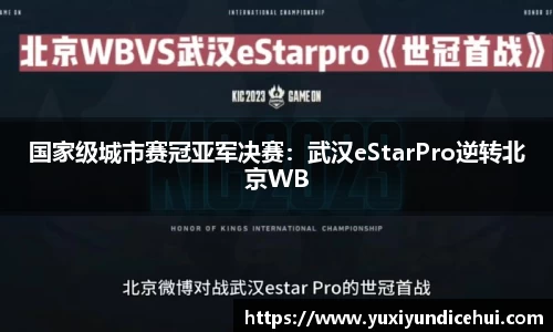 国家级城市赛冠亚军决赛：武汉eStarPro逆转北京WB