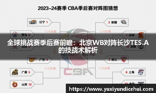全球挑战赛季后赛前瞻：北京WB对阵长沙TES.A的技战术解析