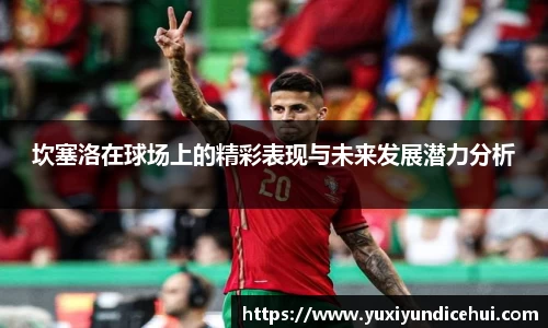 坎塞洛在球场上的精彩表现与未来发展潜力分析