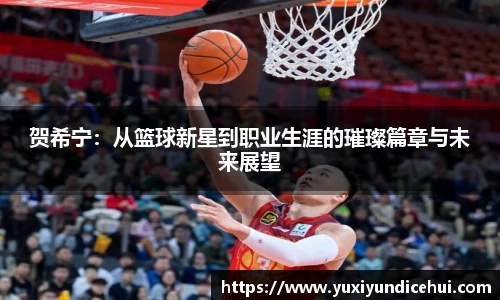 贺希宁：从篮球新星到职业生涯的璀璨篇章与未来展望