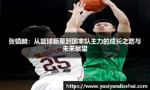 张镇麟：从篮球新星到国家队主力的成长之路与未来展望